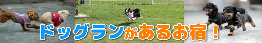 �h�b�O�����̂��邨�h