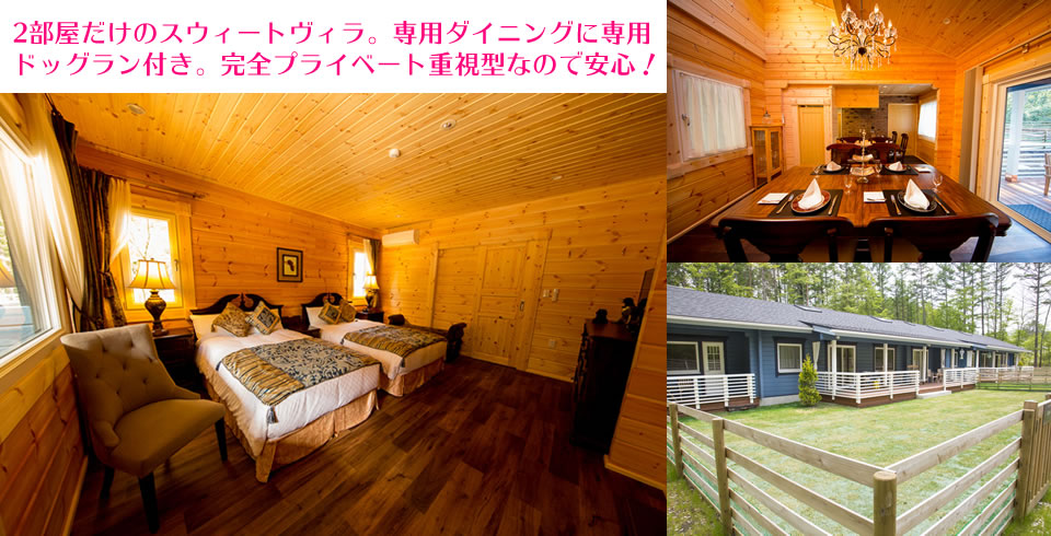 山梨県　Class The Wolf