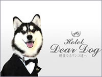 Hotel Dear Dog ɓ