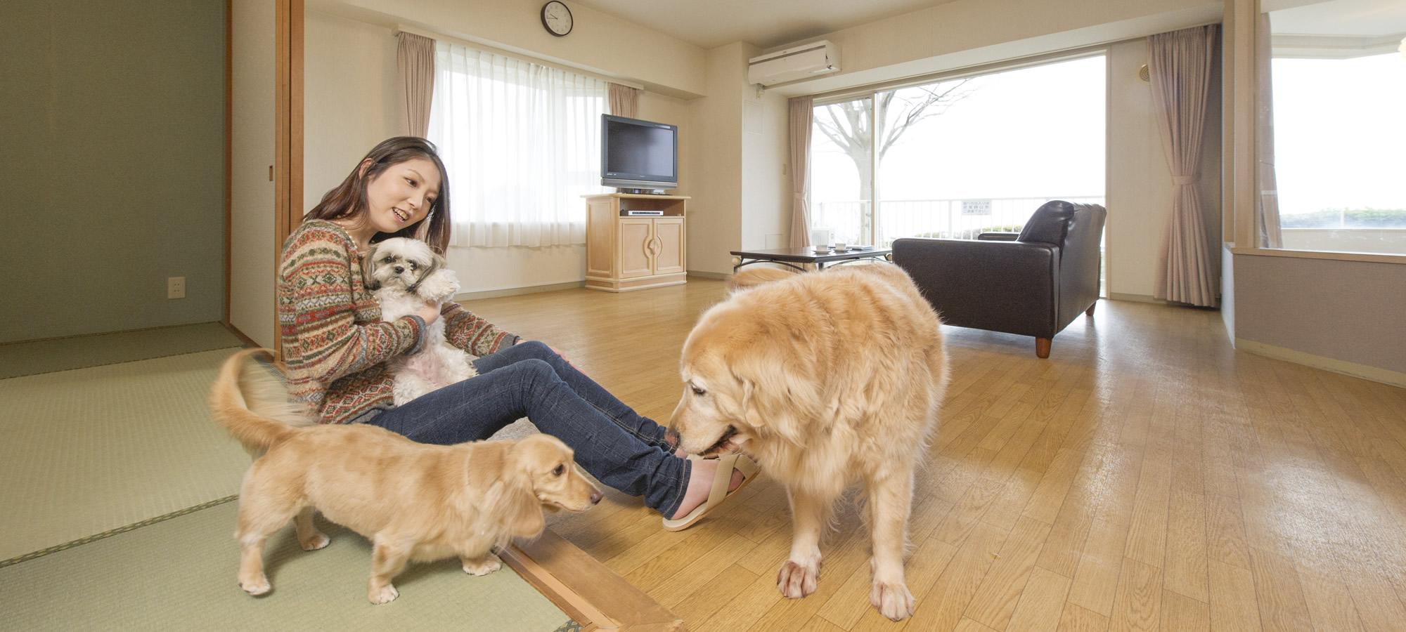 ホテルヴィラージュ伊豆高原 静岡県のペットと泊まれる宿 －全国のペットと宿泊できるペンション・プチホテル・旅館